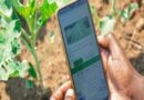 From Traditional Fields to Tech-Driven Future: Zambian Innovator Empowers Farmers with Netagrow