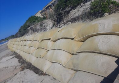 Eco-friendly geosynthetics for rehabilitation of coastal beach line in Mozambique