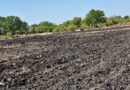 Zambia Standardises Natural Capital Accounting