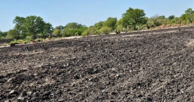 Zambia Standardises Natural Capital Accounting