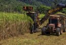 Zambia Sugar Is Thinking Far Beyond Sugar