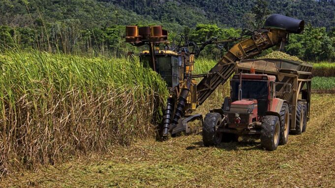Zambia Sugar Is Thinking Far Beyond Sugar